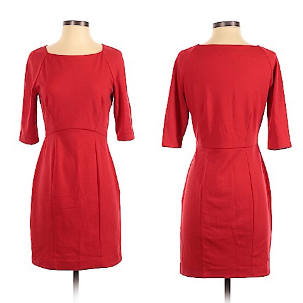 SEAMLINE CYNTHIA STEFFE Dress